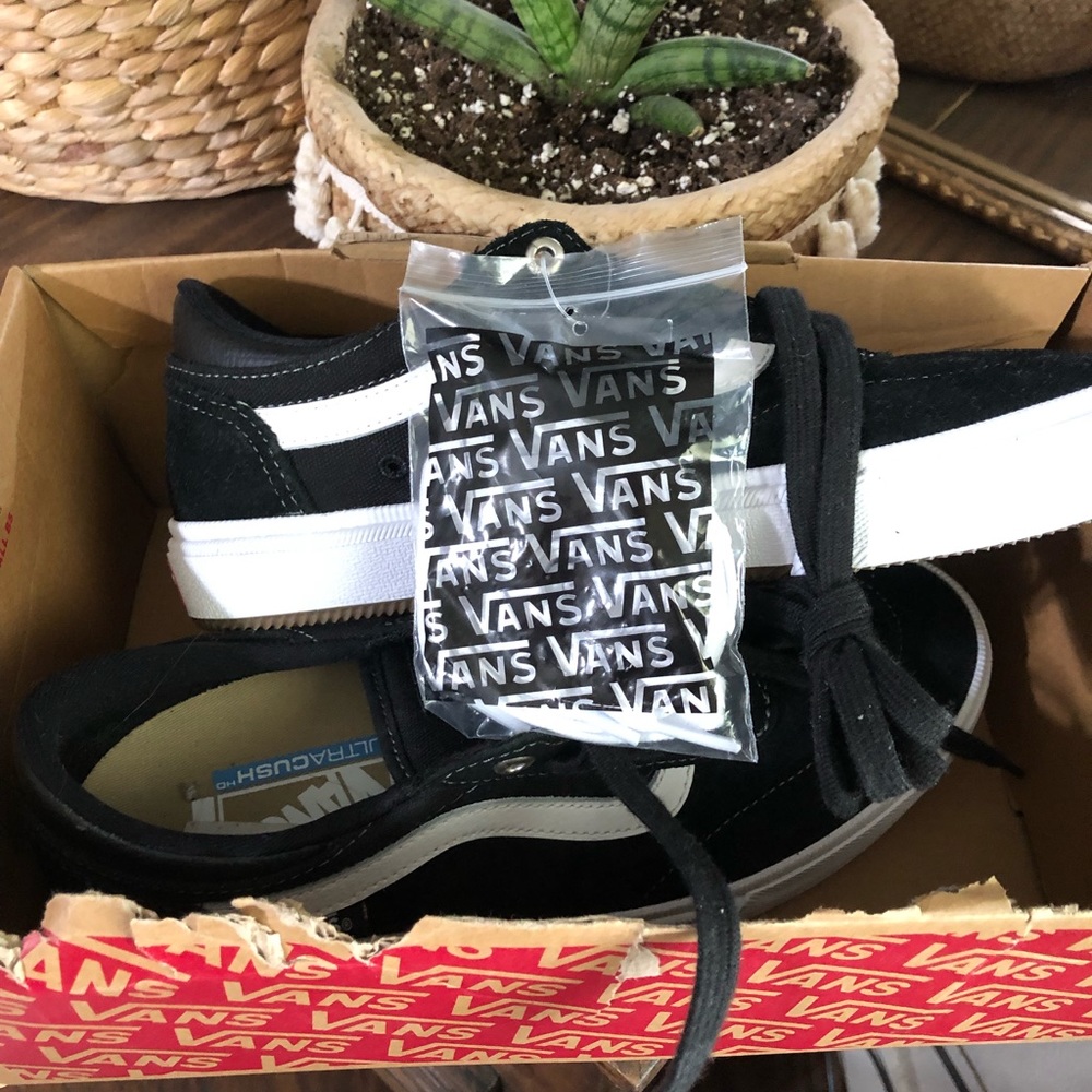 Vans shoes